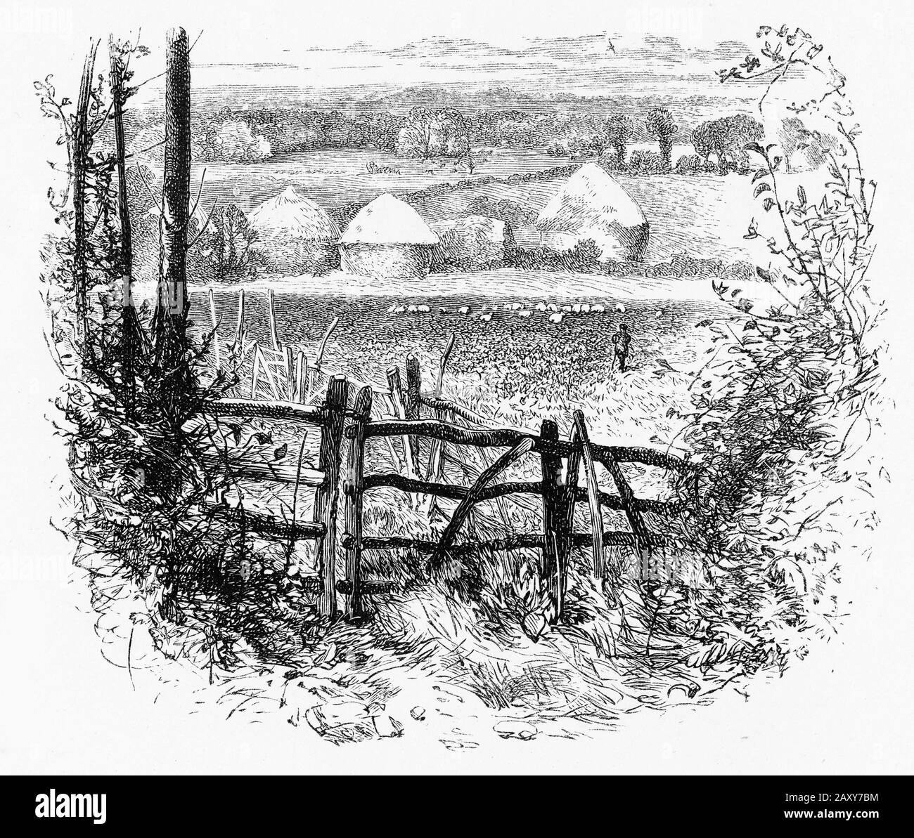 Gravur einer ruhigen Pastoralszene in der britischen Landschaft Stockfoto
