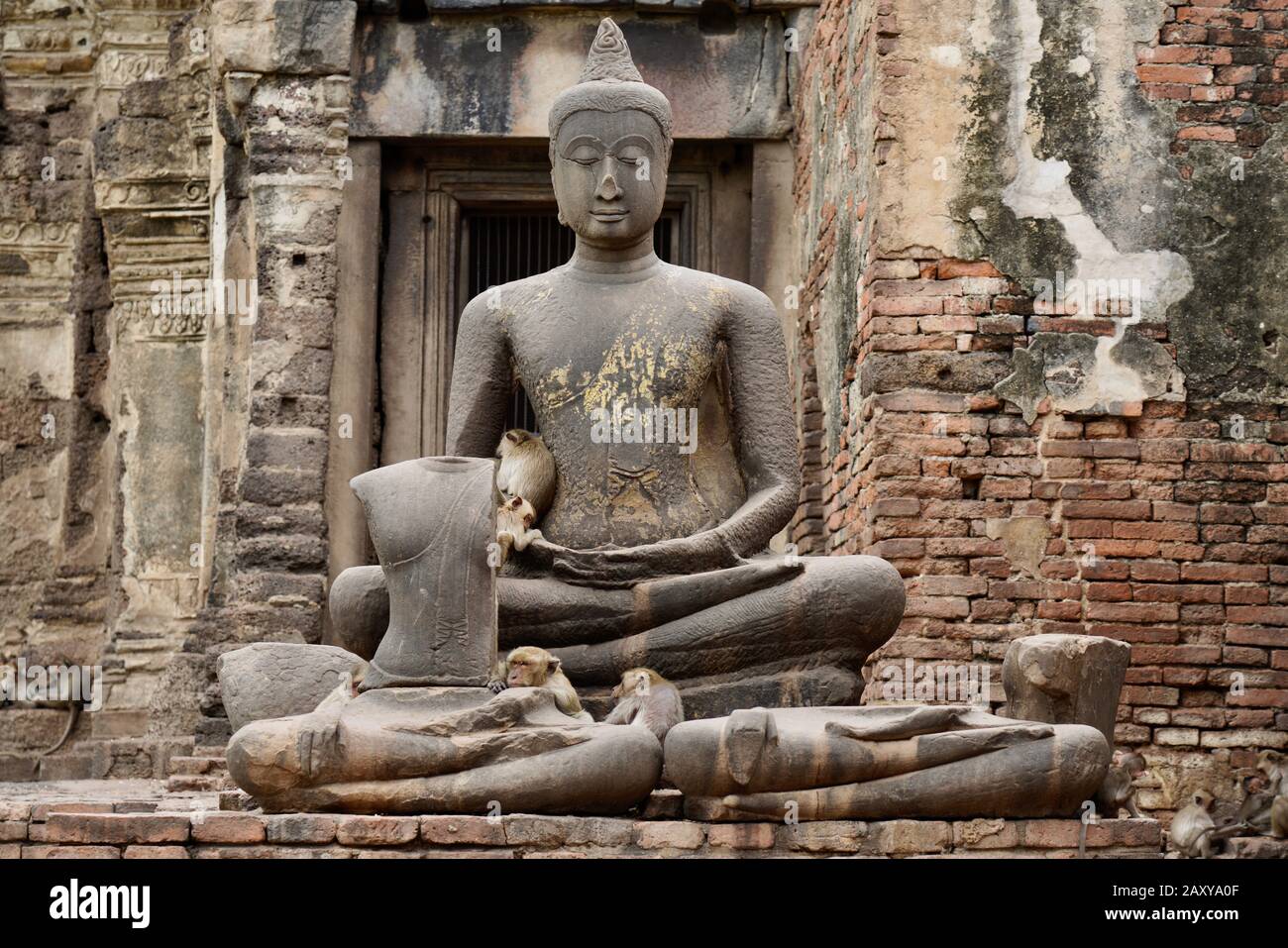 Lange Makque in Phra Prang Sam Yot (Monkey Temple), Lopburi, Thailand Stockfoto