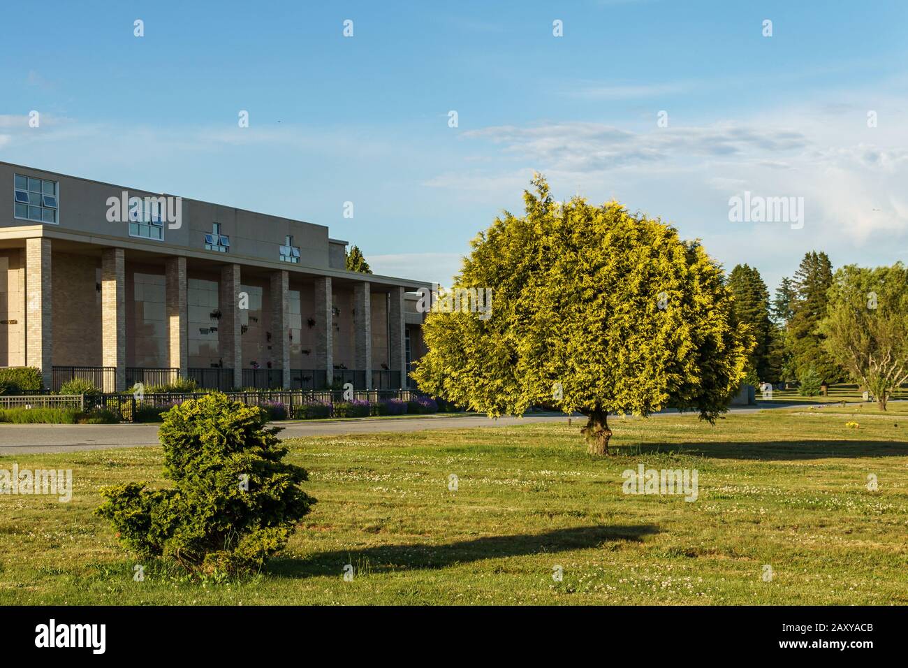 BURNABY, KANADA - 12. JUNI 2019: Blick auf die Landschaft im Ocean View Friedhof mit bunten Bäumen im Sommer. Stockfoto