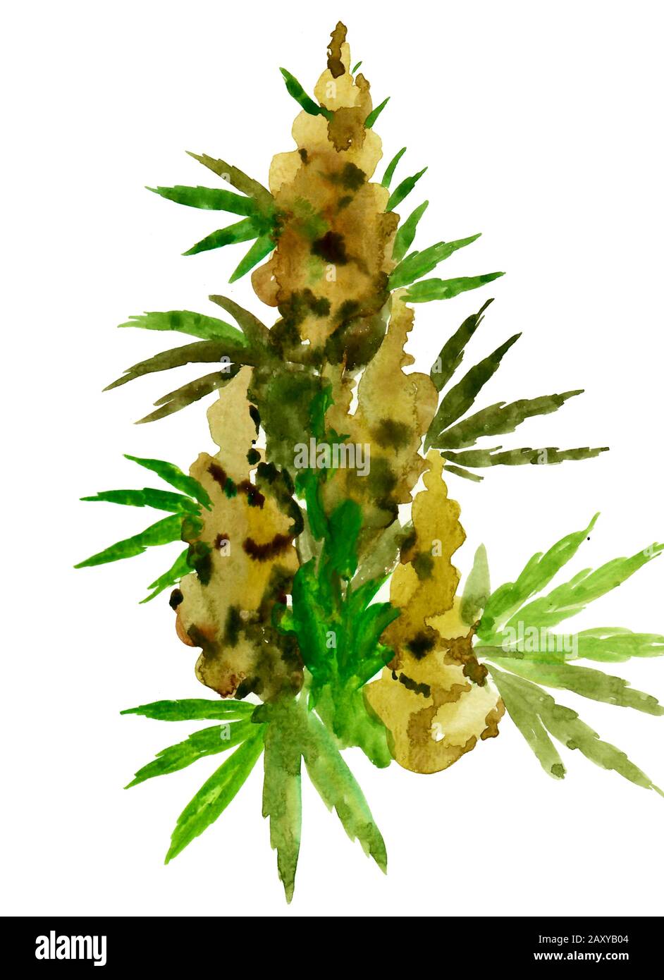Wasserfarbengemälde der Cannabispflanze Stockfoto