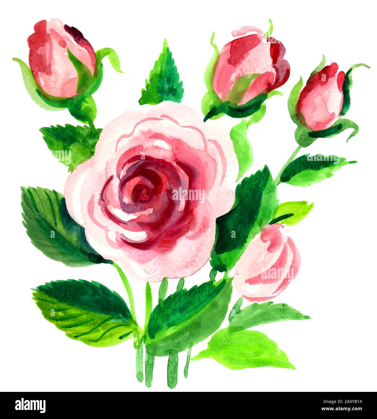 Rosenblümchen. Aquarellgemälde Stockfoto