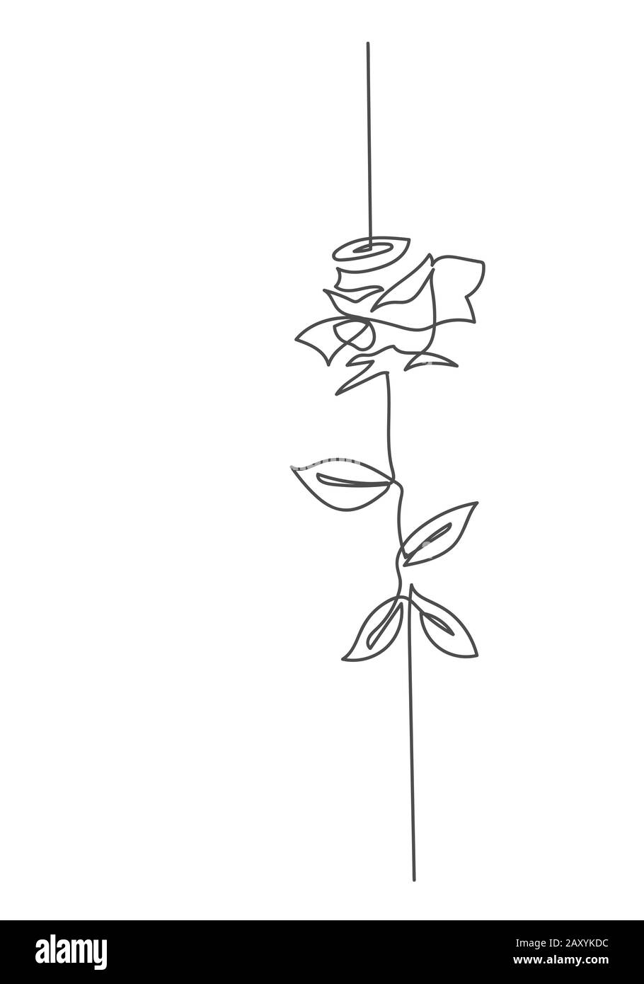 Durchgängige einzeilige Zeichnung. Schwarz-weiße Illustration: Eine Linie aus Rosenblütenkunst, isoliert auf weißem Hintergrund. Stockfoto