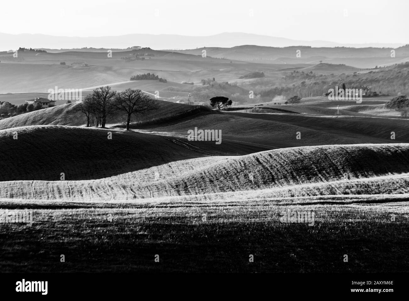 Wunderschöne Landschaft der Toskana im Frühling mit Wellenbulden und vereinzelten Bäumen und Bauernhäusern. Toskana, Italien, Europa Stockfoto