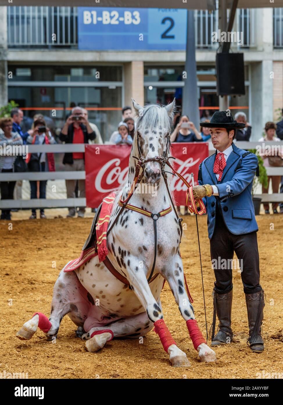 Verschiedene Pferdeveranstaltungen finden statt, darunter die Pferdedisziplin auf der jährlichen Pferderennausstellung Jerez (Feria de Caballo), Jerez de la Frontera, Andalusien, Spanien Stockfoto