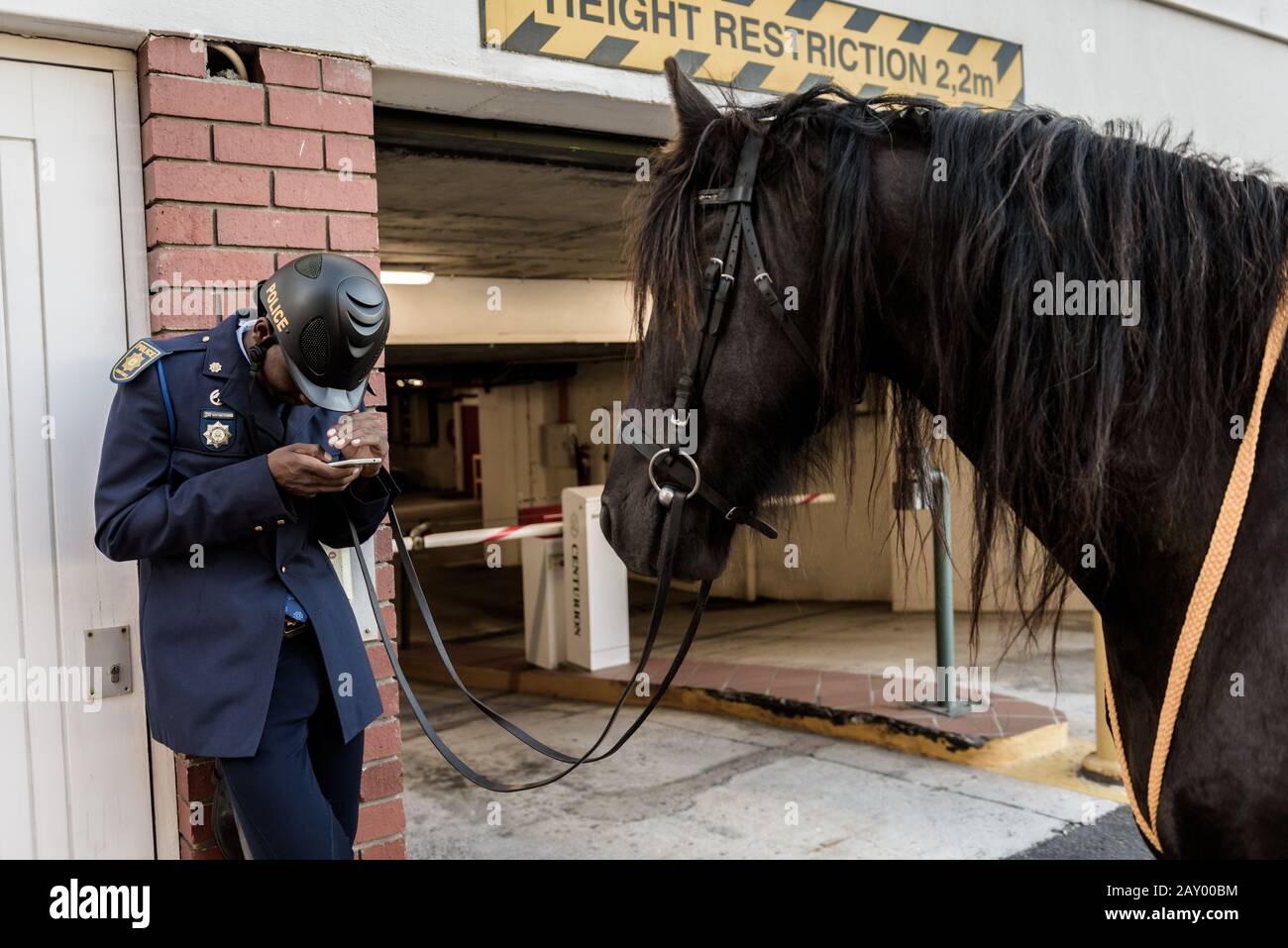 Vor der Adresse des Staates der Nation 2020 von Präsident Cyril Ramaphosa im südafrikanischen Parlament in Kapstadt parieren montierte Polizeibeamte Stockfoto