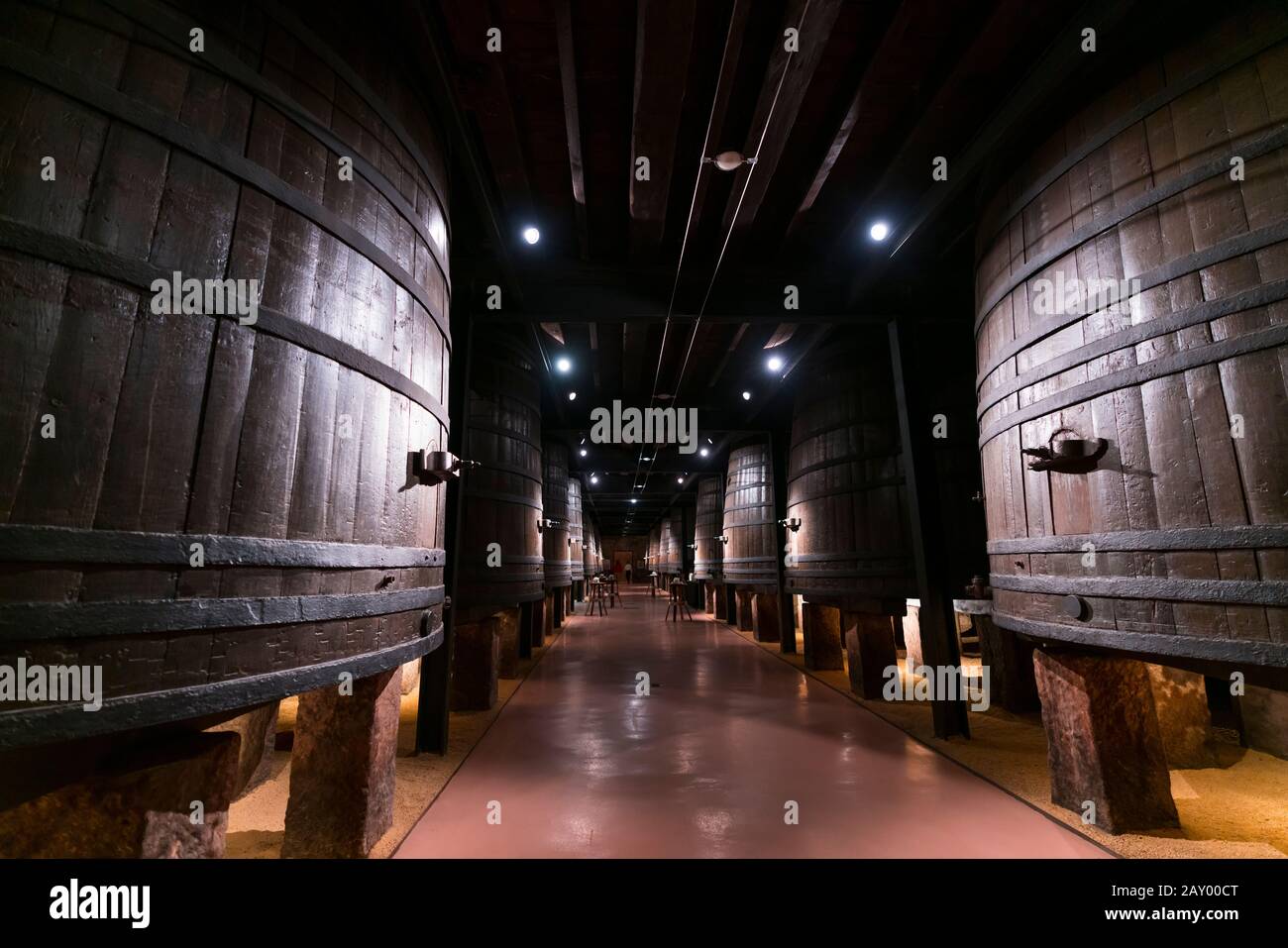 Winery Franco Españolas, Logroño, La Rioja, Spanien, Europa Stockfoto