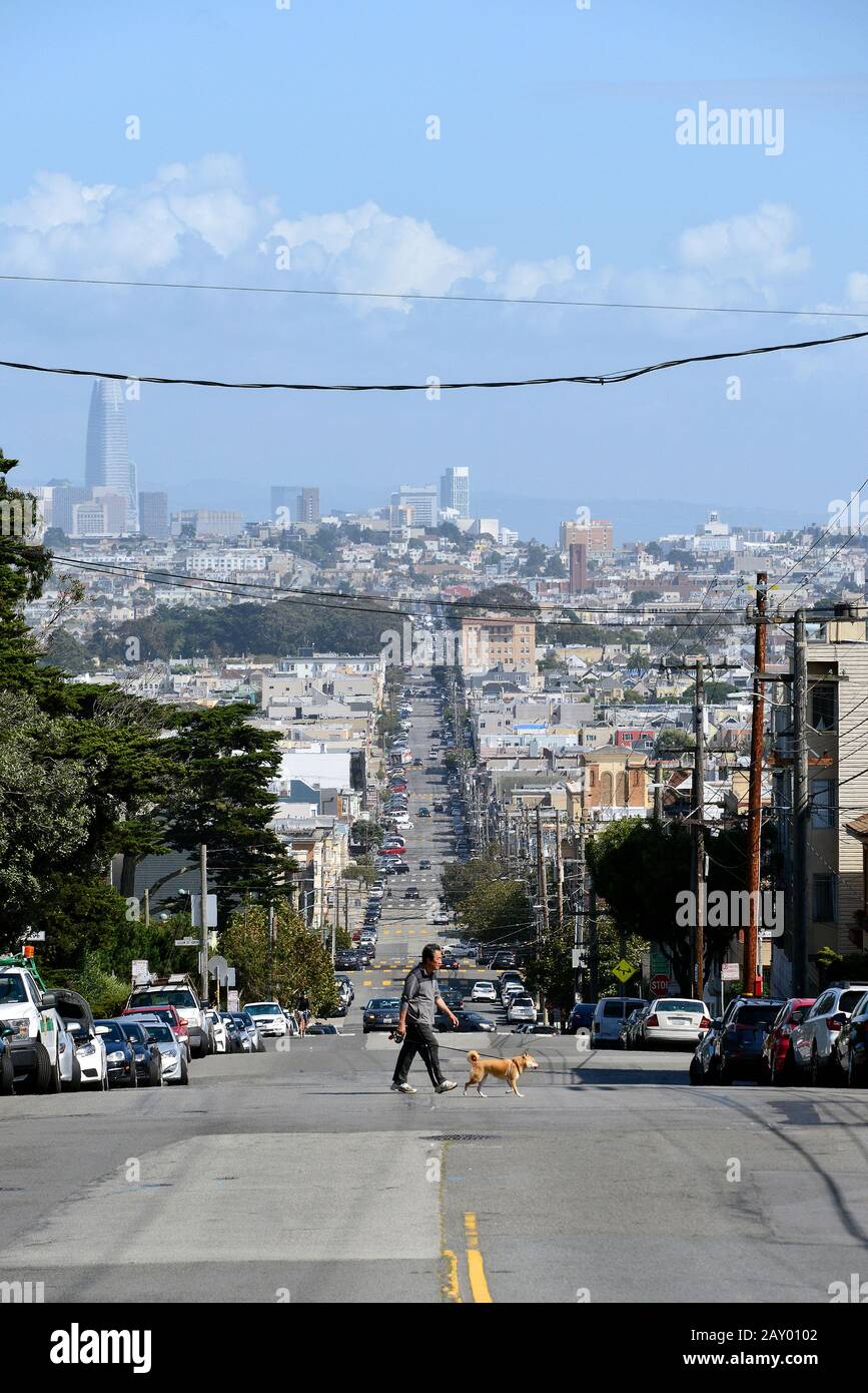 Blick vom Seal Rock Drive im Viertel Vista Del Mar in Richtung Innenstadt von San Francisco, Kalifornien, USA Stockfoto