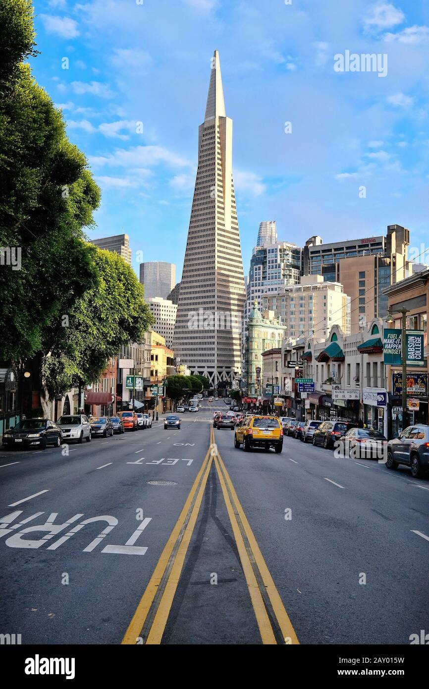 Blick über die Columbus Avenue zum Transamerica Pyramid Hochhaus, San Francisco, Kalifornien, USA Stockfoto