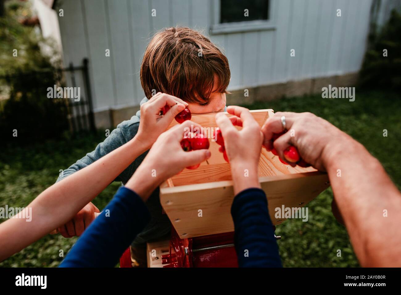 Vater und drei Kinder im Garten pressen Äpfel, um Apfelwein zu machen, USA Stockfoto