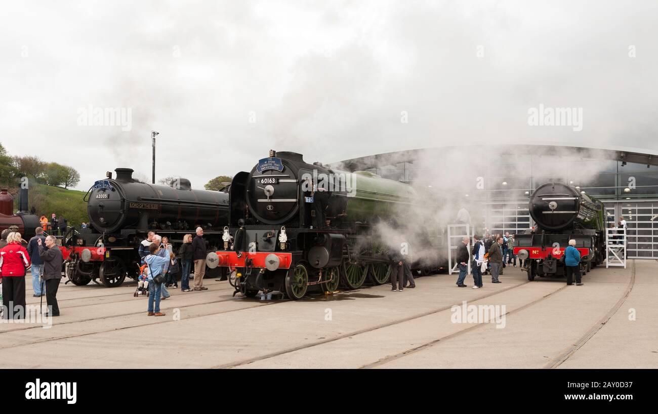 Drei Dampflokos 62005 Lord Of The Isles, 60163 Tornado, 4771 Green Arrow außerhalb des Eisenbahnmuseums Für Fortbewegung in Shildon, Co. Durham, England, Großbritannien Stockfoto