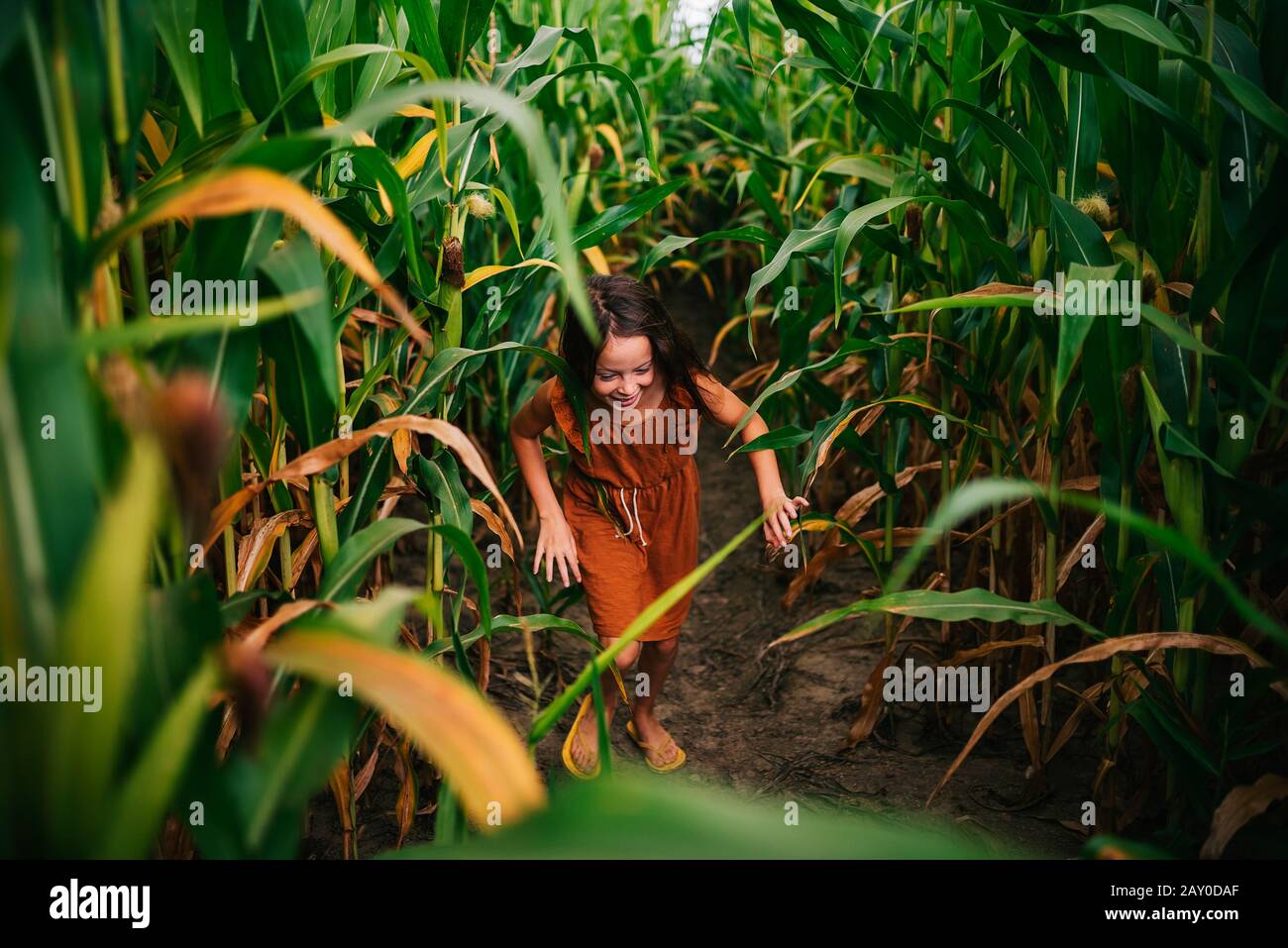 Mädchen läuft durch ein Maisfeld, USA Stockfoto