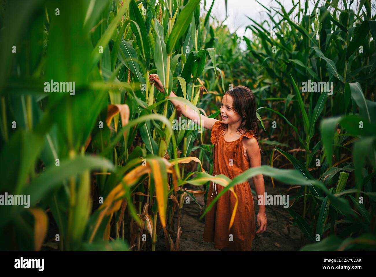 Porträt eines Mädchens in einem Maisfeld, das eine Pflanze berührt, USA Stockfoto