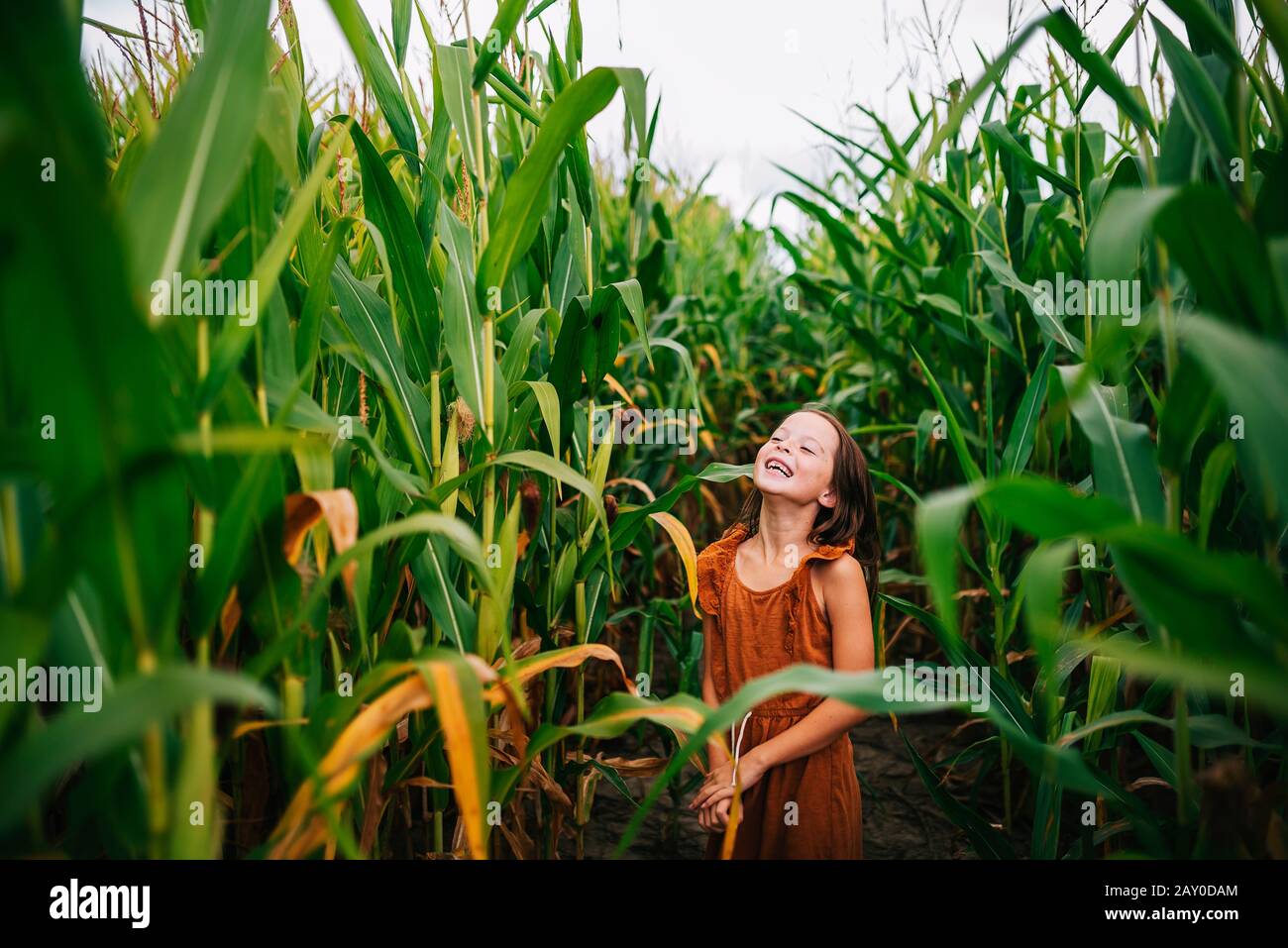 Lächelndes Mädchen, das auf einem Maisfeld spielt, USA Stockfoto