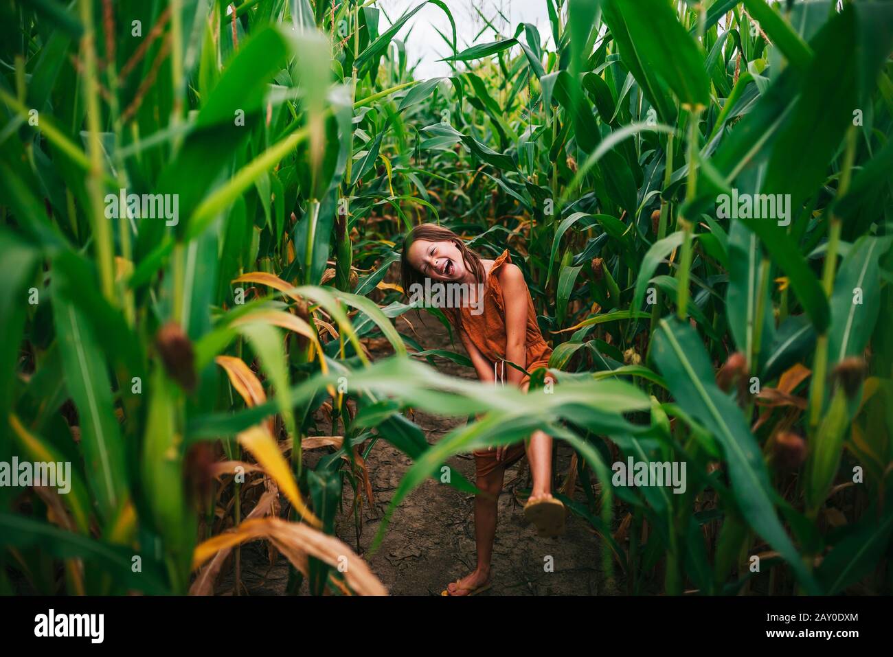 Lächelndes Mädchen, das auf einem Maisfeld spielt, USA Stockfoto