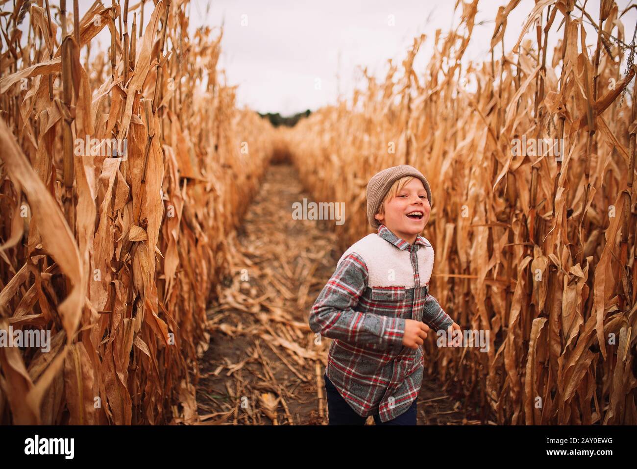 Glücklicher Junge, der im Herbst durch ein Maisfeld läuft, USA Stockfoto
