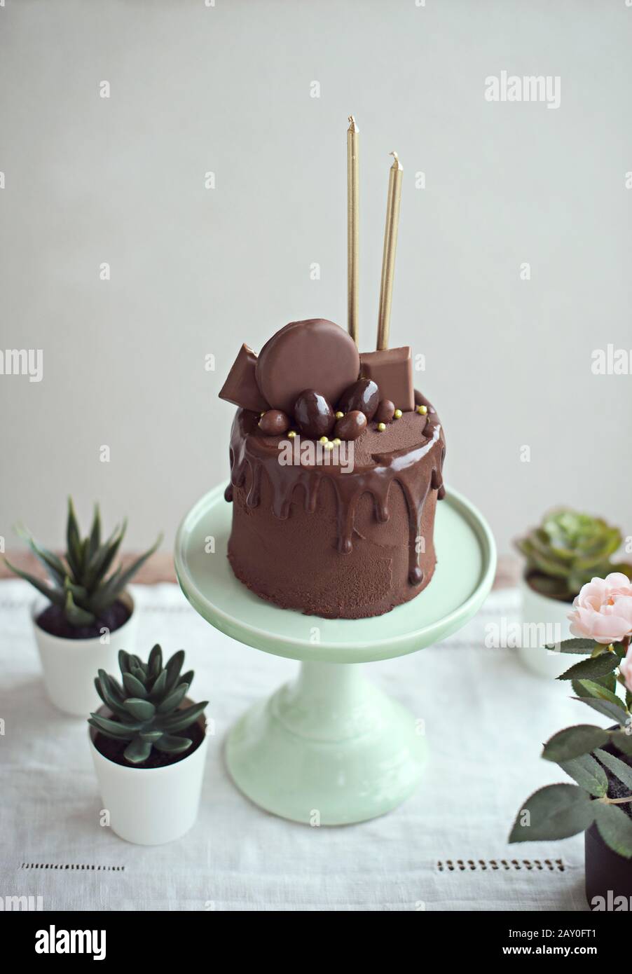 Schokoladenkuchen mit goldenen Kerzen auf einem Kakestand neben saftigen Pflanzen Stockfoto