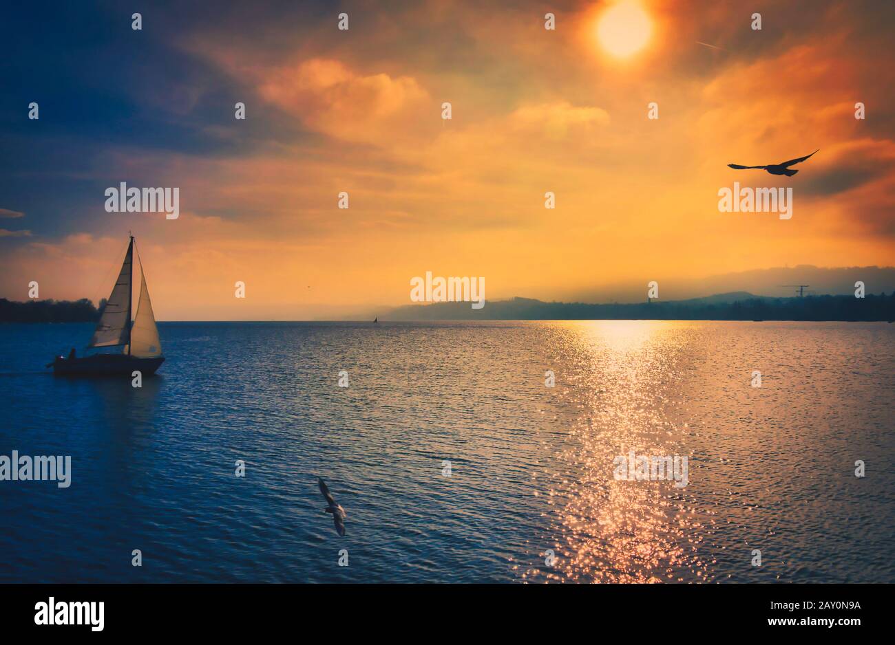 Lake zurich boat -Fotos und -Bildmaterial in hoher Auflösung – Alamy