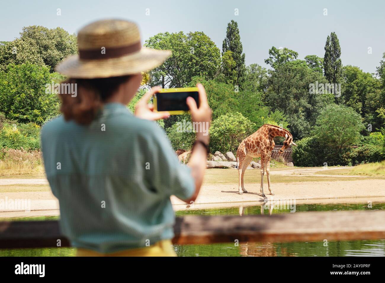 Fröhliches mädchen aus der asiatischen Zoologie, das auf dem Smartphone fotografieren kann, während die Giraffe aus dem See trinkt Stockfoto