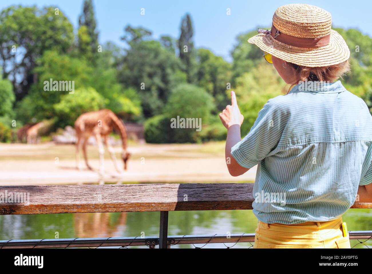 Fröhliches mädchen aus der asiatischen Zoologie, das Giraffe aus dem See trinkt Stockfoto