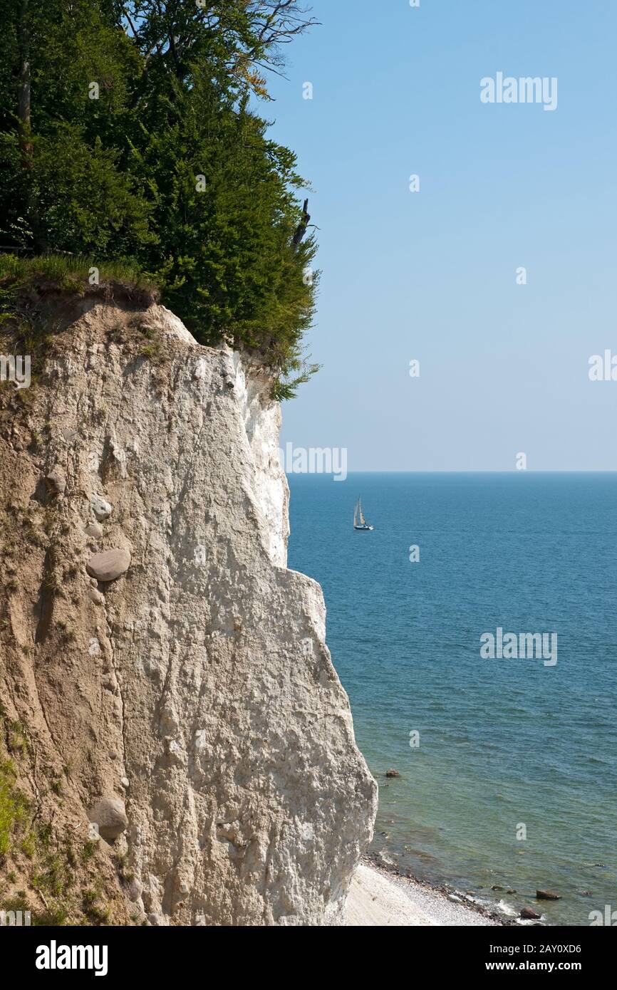 Die Cliffline im Nationalpark Jasmund, Rügen Stockfoto