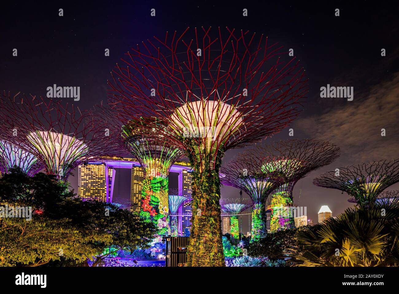 Supertrees, baumartige Strukturen, die eine große Attraktion in Gardens By The Bay, Singapur sind Stockfoto