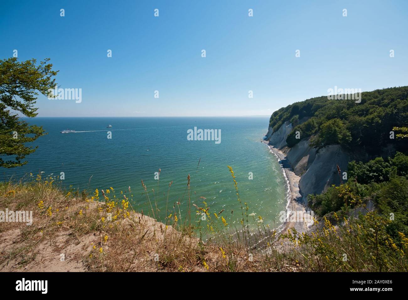 Die Cliffline im Nationalpark Jasmund, Rügen Stockfoto