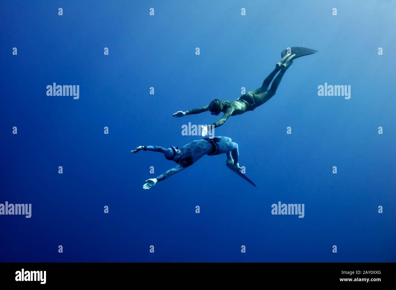 Die romantische gleichzeitige Freedive in die Tiefe Stockfoto