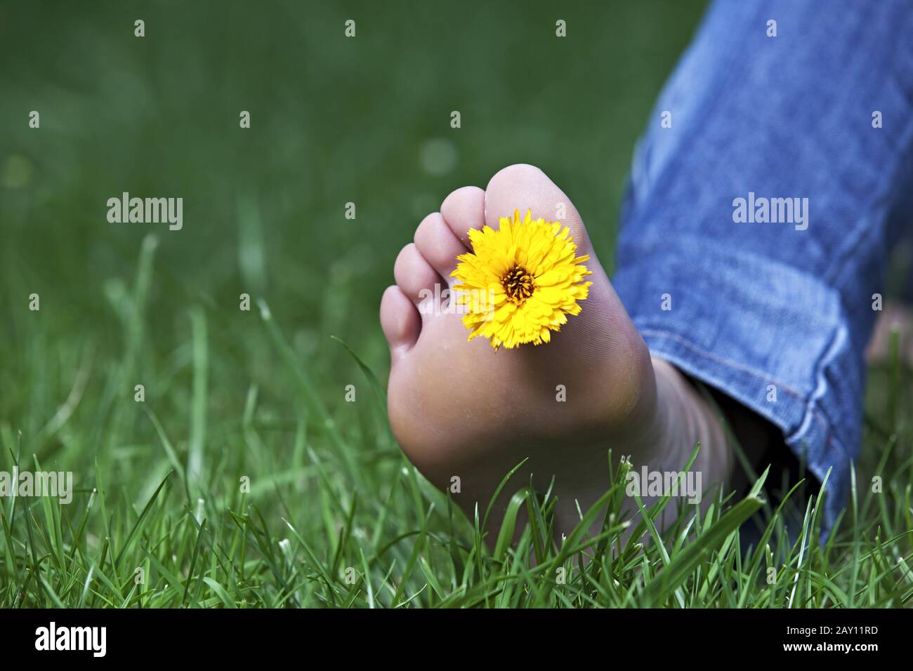 Einzelne gelbe Blume zwischen den Zehen Stockfoto