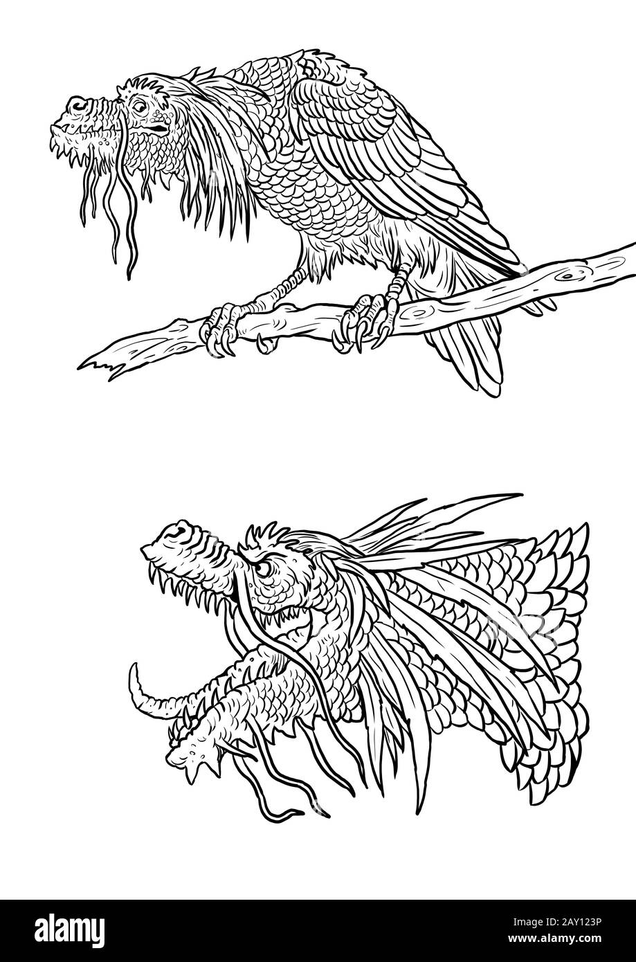 Japanische Drachenfärbeseite. Abbildung der Umrisse. Malblatt mit Drachenzeichnung. Stockfoto