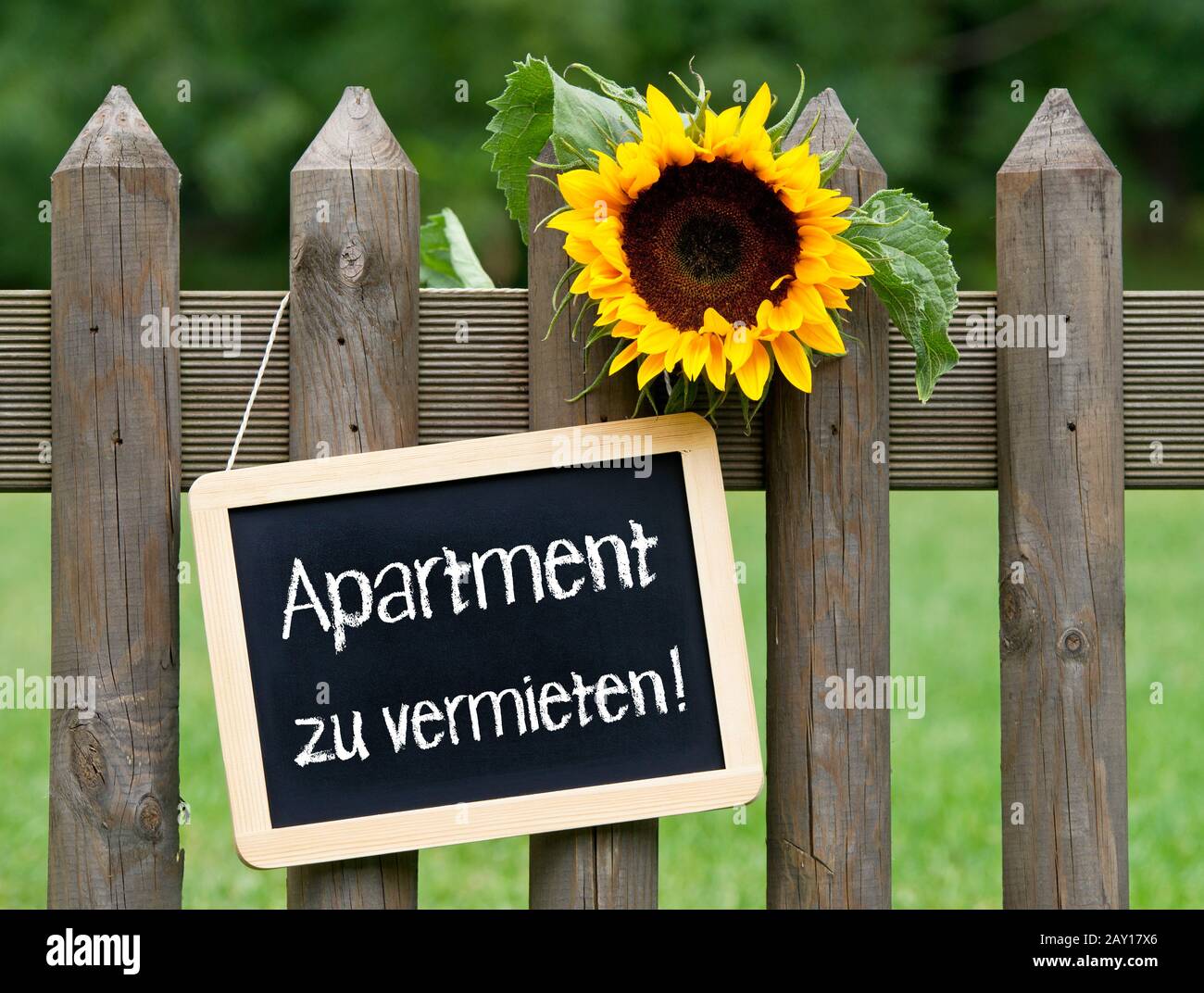 Apartment zu mieten! Stockfoto