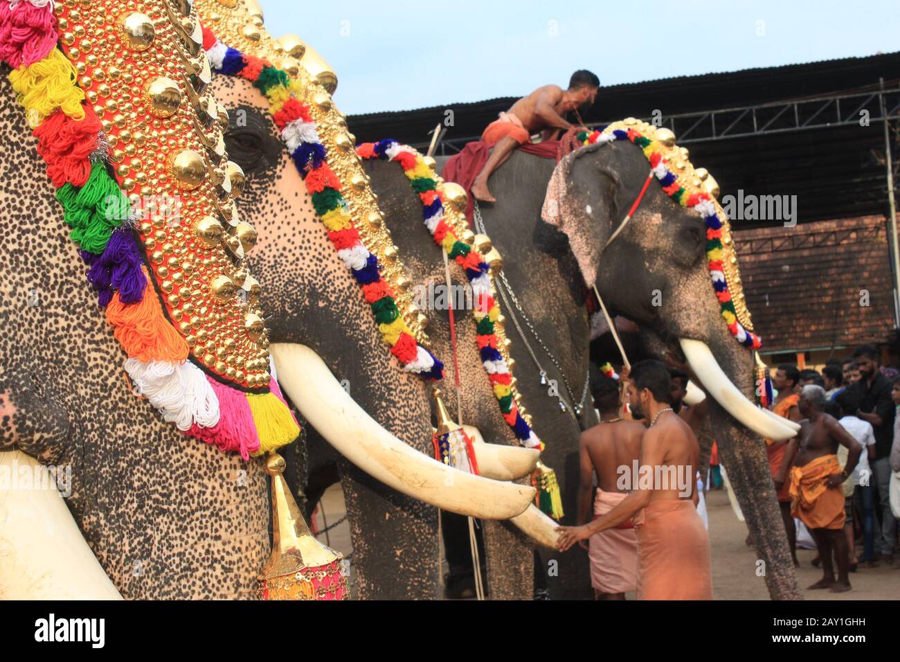 Kerala Tourismus Stockfoto