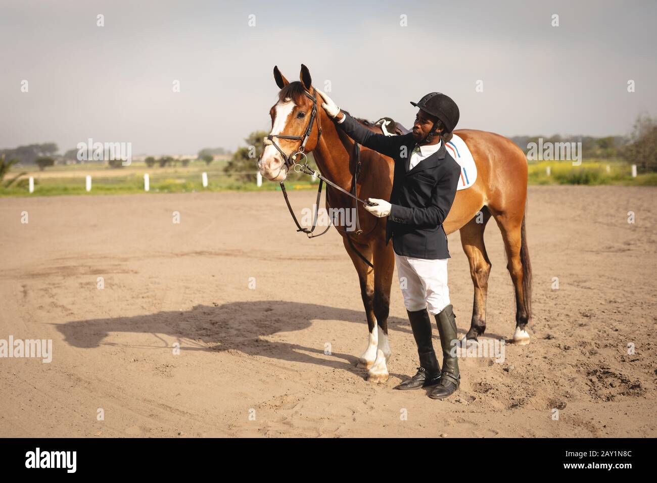 Mann zappelt sein Pferd vor dem Dressurpferd Stockfoto
