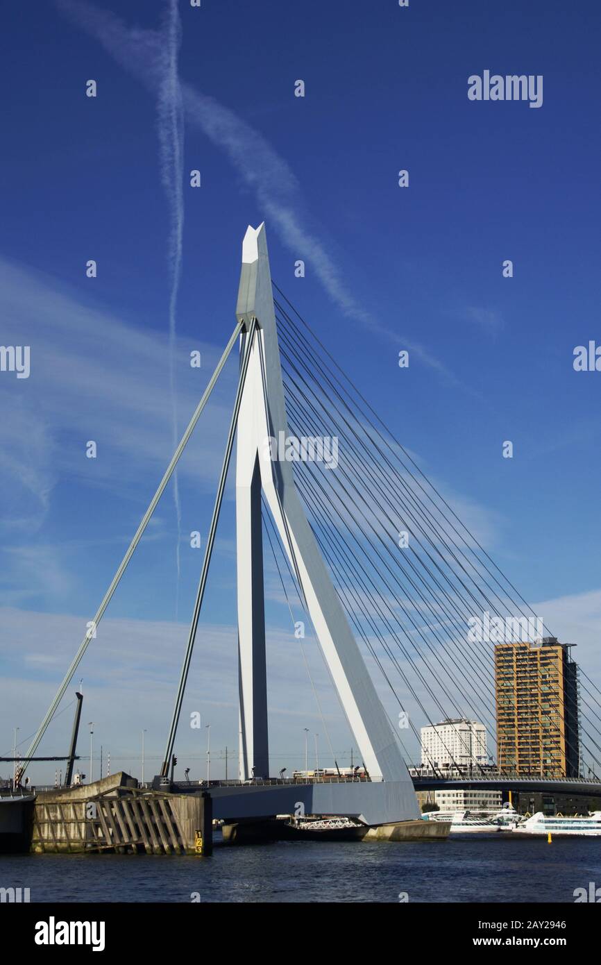 Erasmusbrücke über die Nieuwe Maas in Rotterdam, N Stockfoto