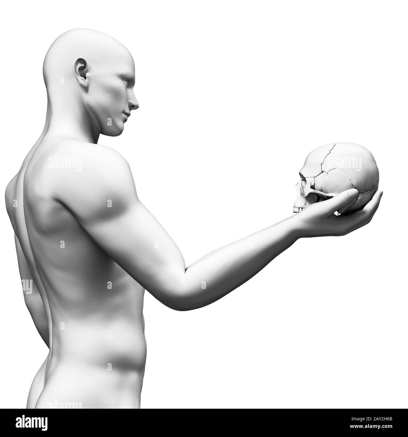 weißer Mann hält einen Schädel Stockfoto