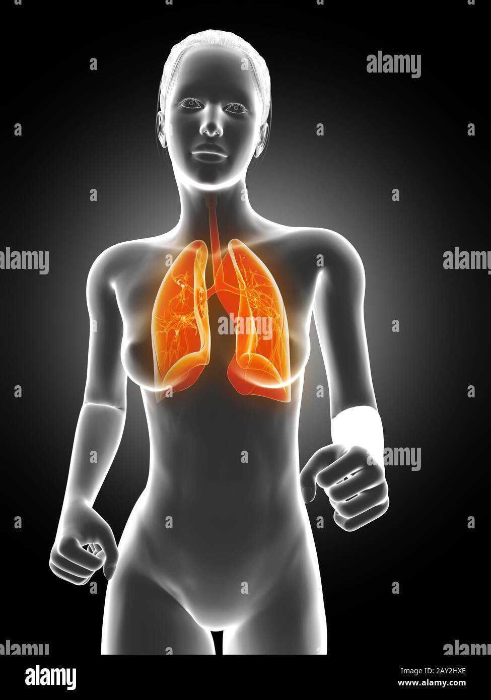 3D gerenderte Abbildung - laufende Womane Lunge Stockfoto