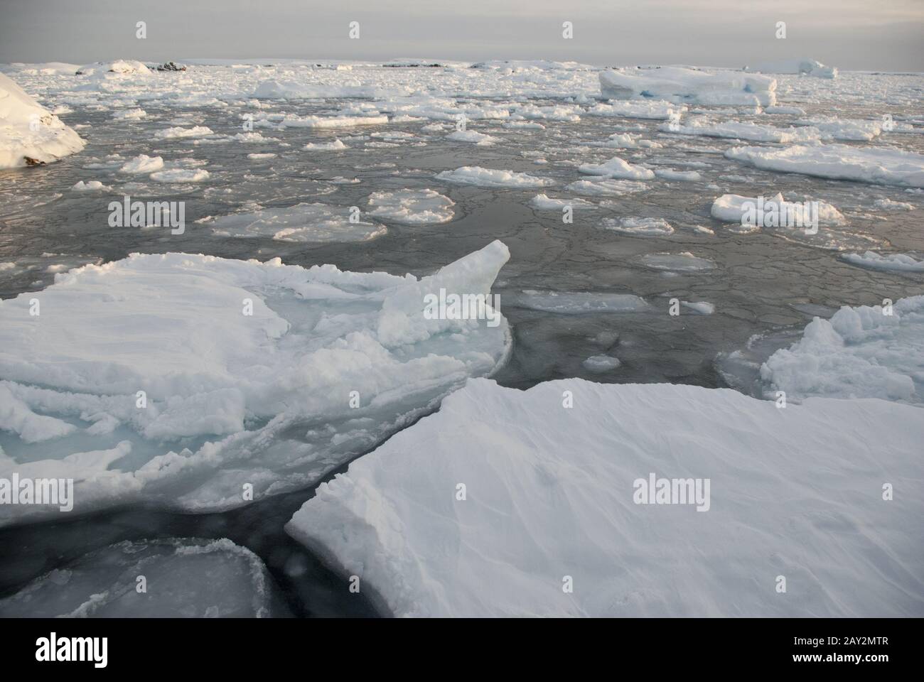 Das Eis um die antarktischen Inseln im Winter. Stockfoto