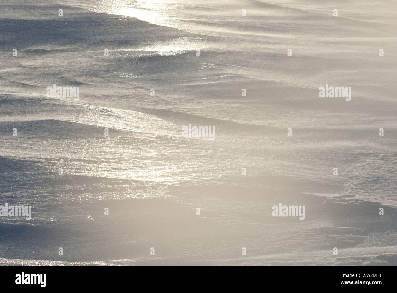 Wintertag auf den Antarktischen Inseln verschneit. Stockfoto