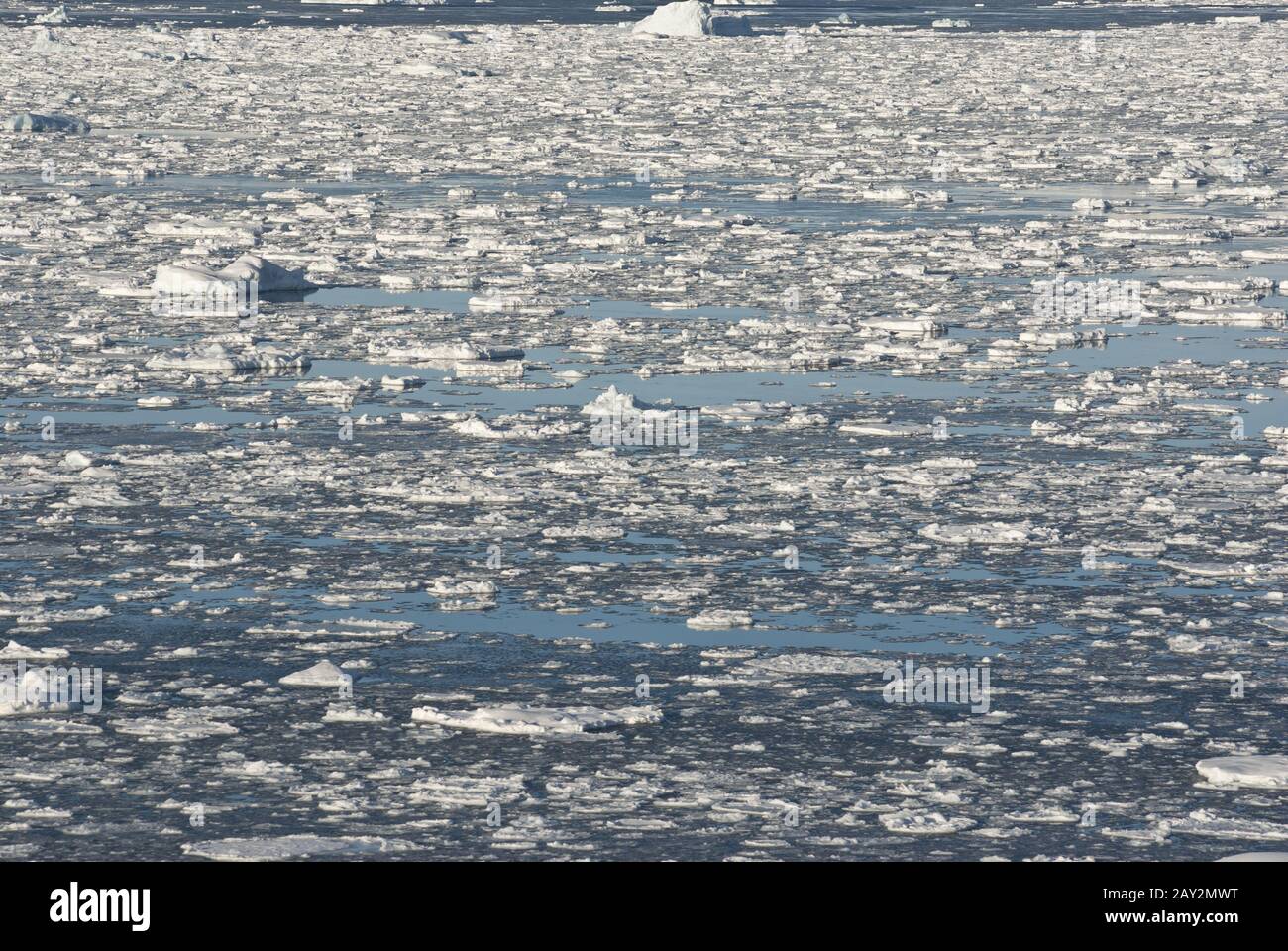 Südmeer vor der Küste der Antarktis. Stockfoto