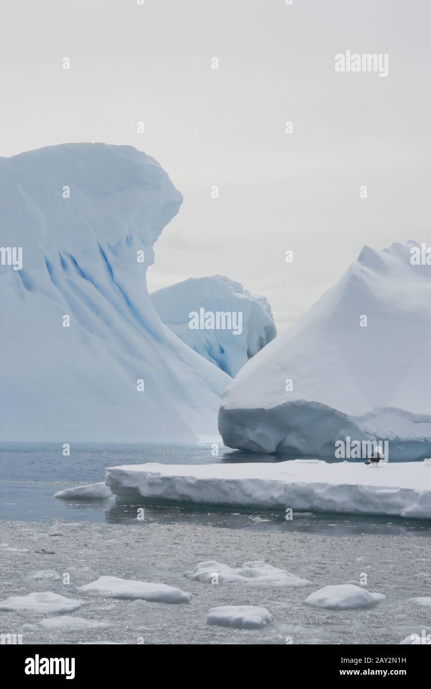 Eisberge in den antarktischen Gewässern des Winters. Stockfoto