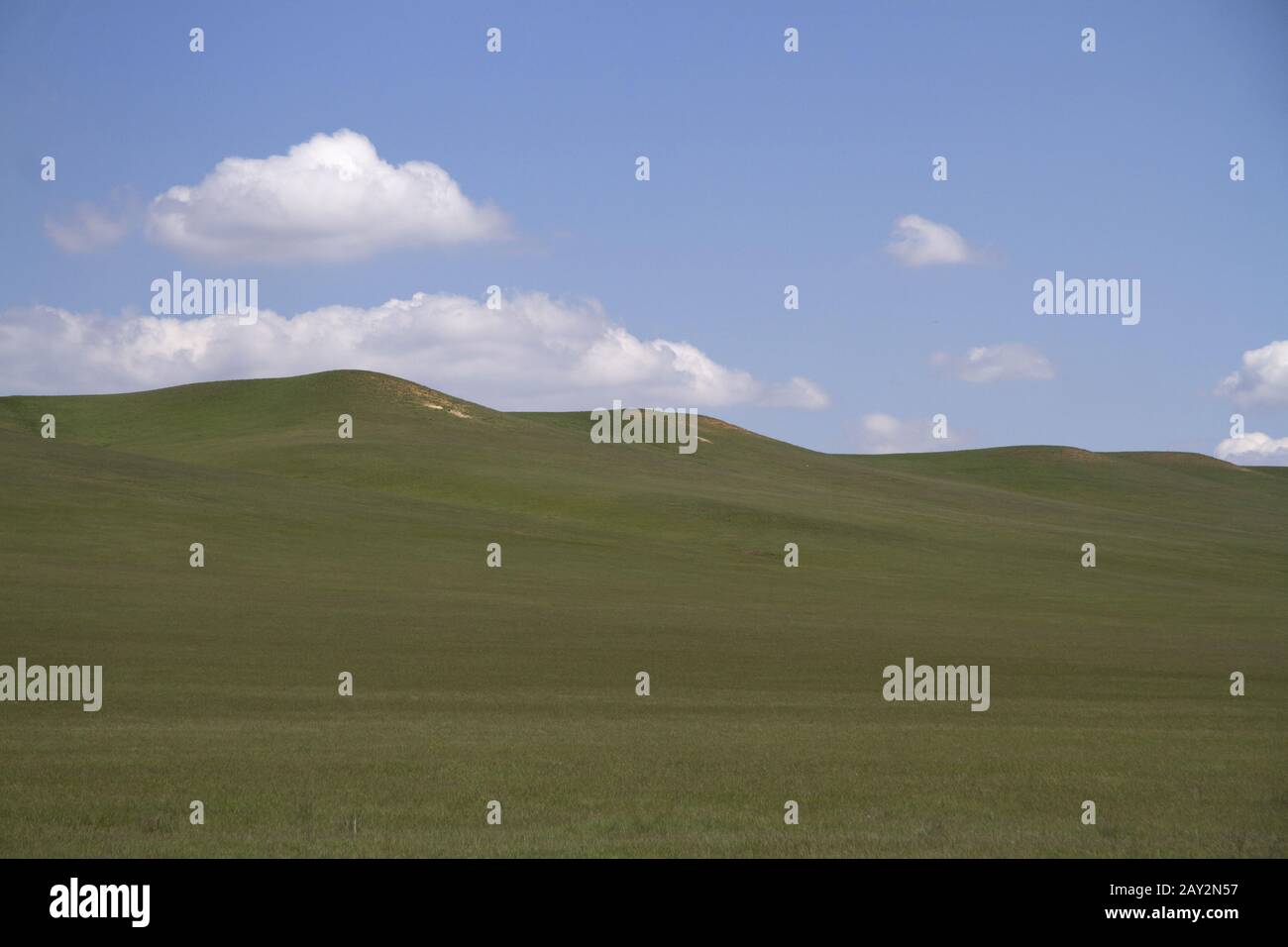 Rollender, sonniger Tag in der Steppe. Stockfoto
