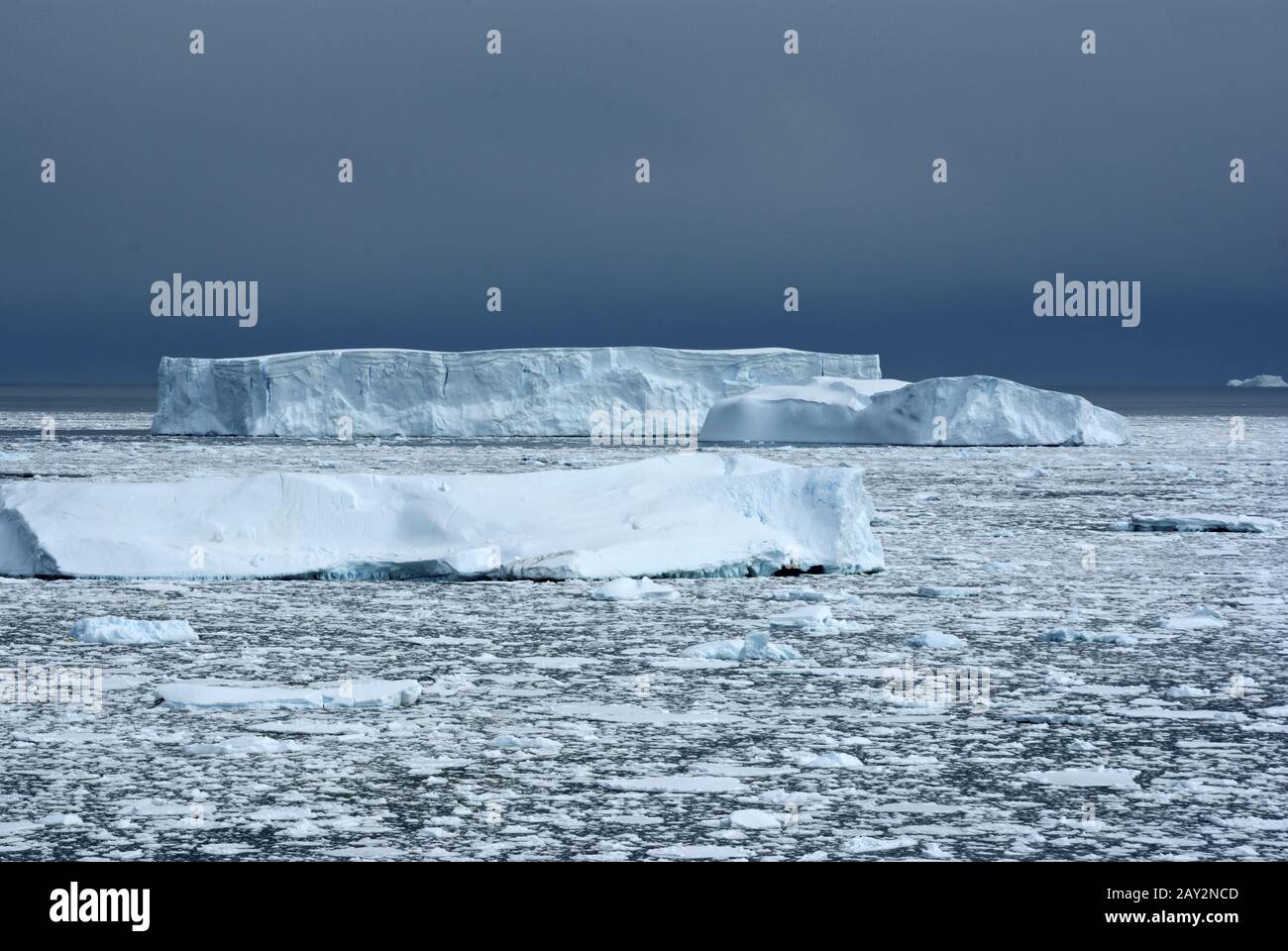 Mehrere verschiedene Eisberge im Ozean übergossen Nachmittag. Stockfoto