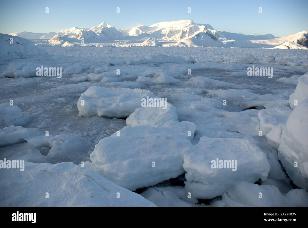 Verpacken Sie Eis in der Straße vor der Antarktischen Halbinsel. Stockfoto