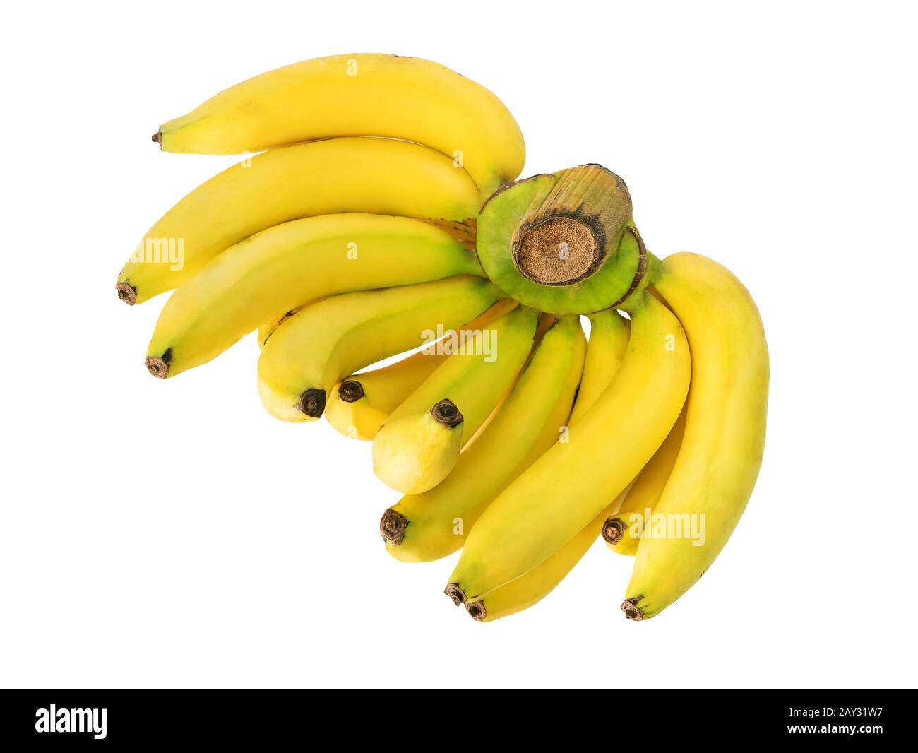 Bananenbündel isoliert auf weißem Hintergrund mit Clipping-Pfad, Studioaufnahme Stockfoto