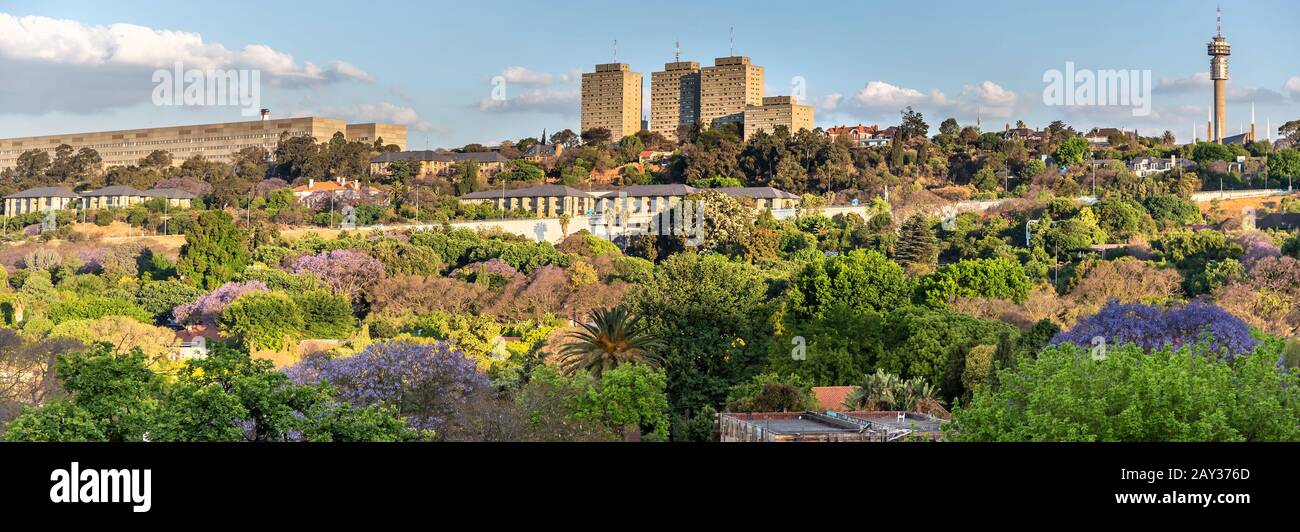Johannesburg, Südafrika, 4. Oktober - 2019: Panoramaaussicht auf belaubte Vororte rund um die Innenstadt Stockfoto
