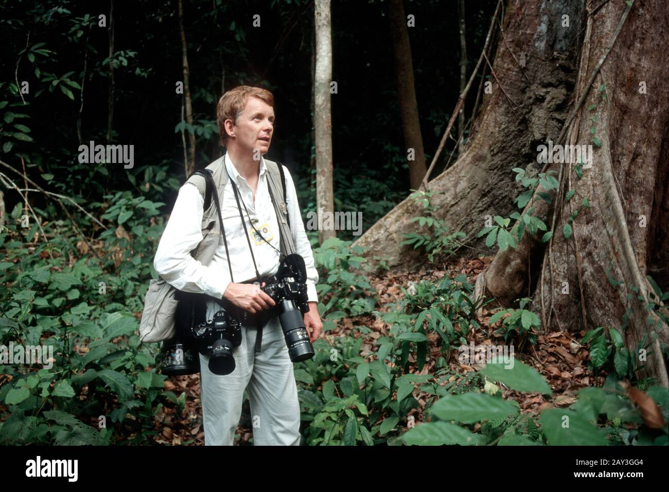 Der königliche Fotograf Tim Graham im Korup Regenwald von Kamerun während er den Besuch von Prinz Charles 1991 fotografierte. Stockfoto