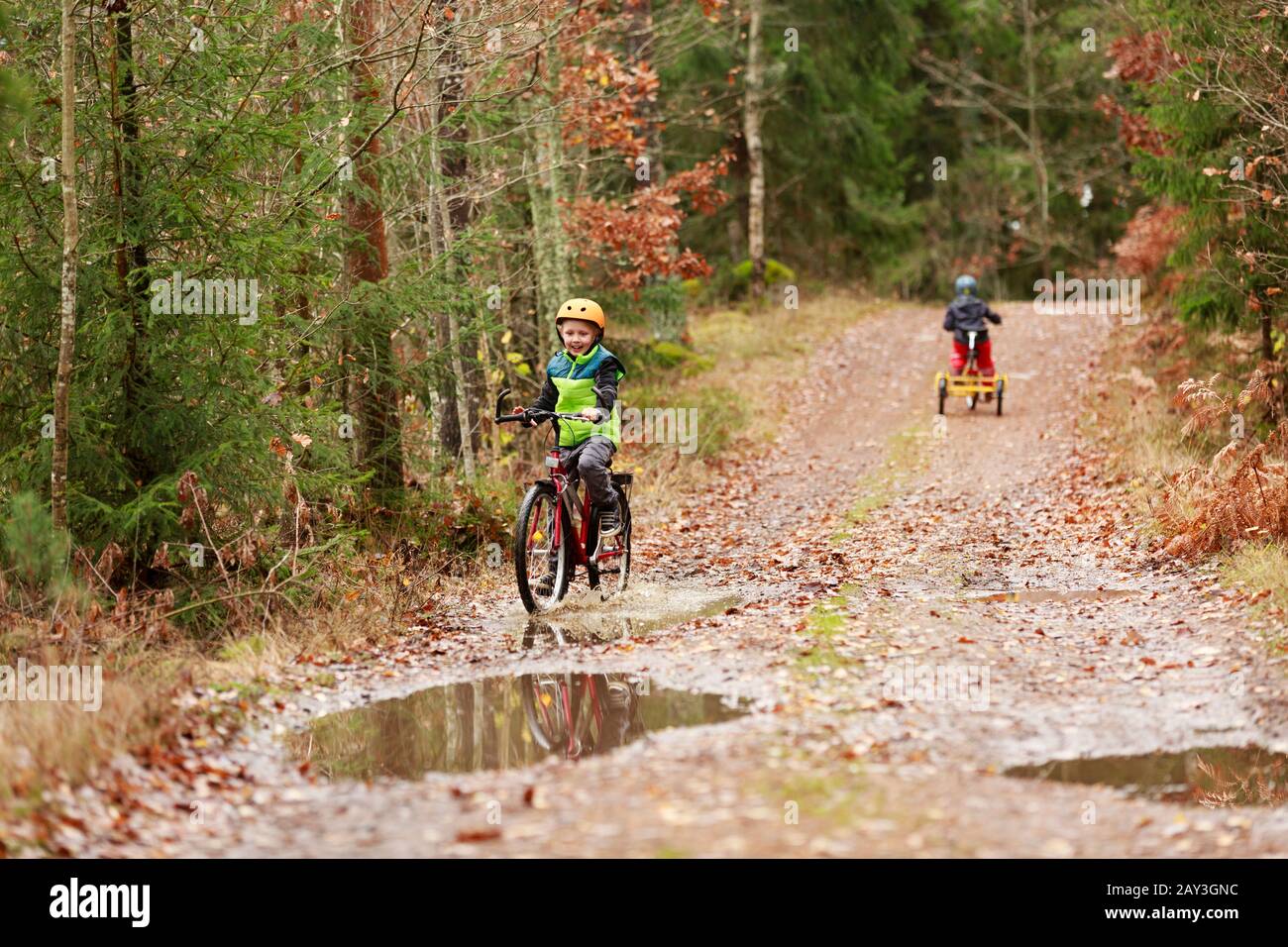 Junge, Radfahren durch Wald Stockfoto