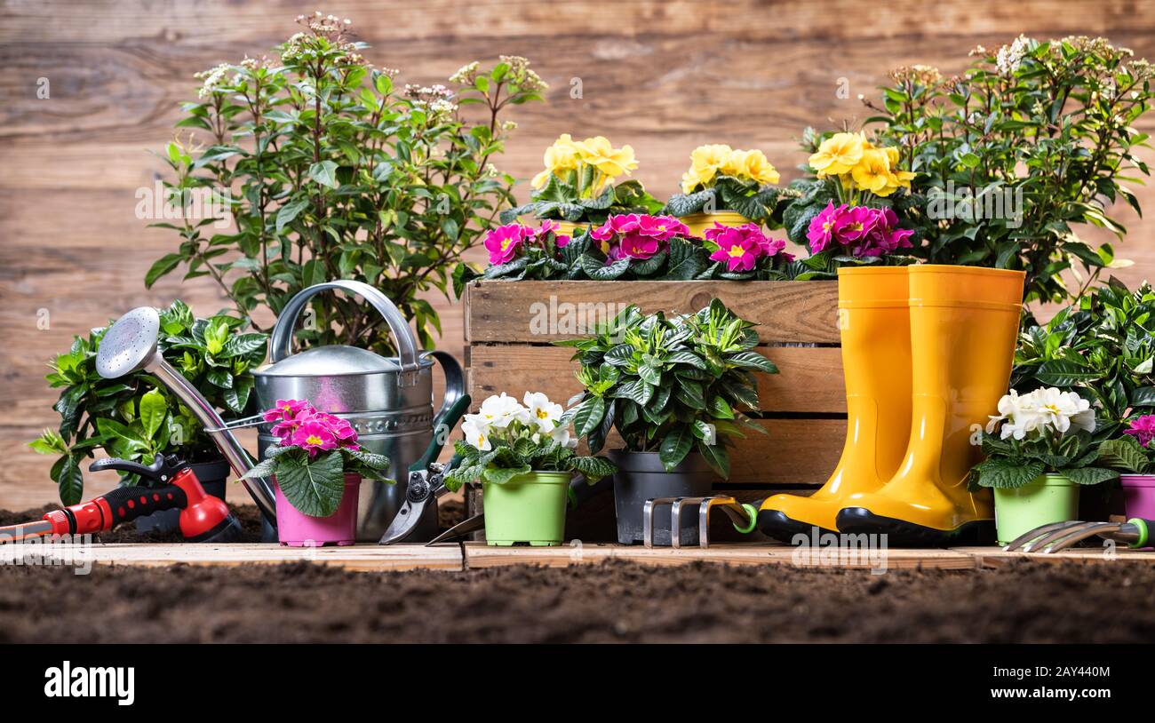 Gartenwerkzeuge Und Blumen Bereit Zum Pflanzen Stockfoto