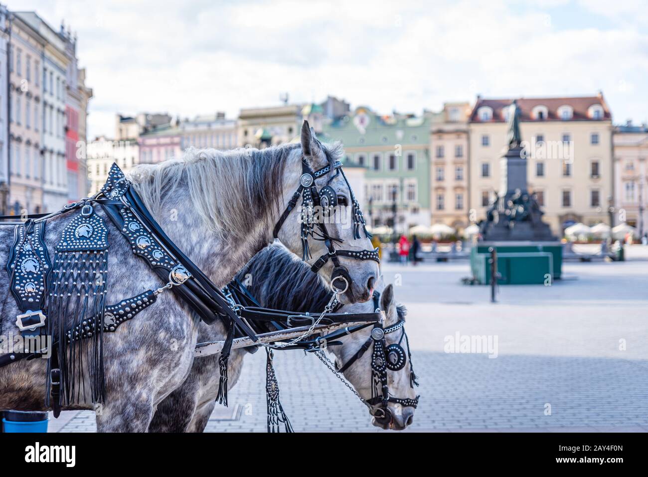 Pferd und Kutschen in Krakow, Polen Stockfoto