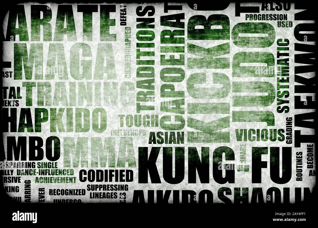 Kung Fu Stockfoto