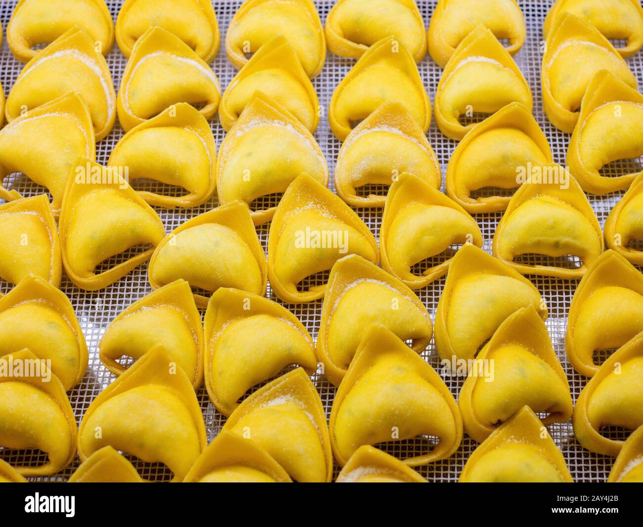 Tortellini-Pasta, frisch zubereitete, rohe Pasta. Kochen gesunder italienischer Hausmannskost. Hintergrund Stockfoto